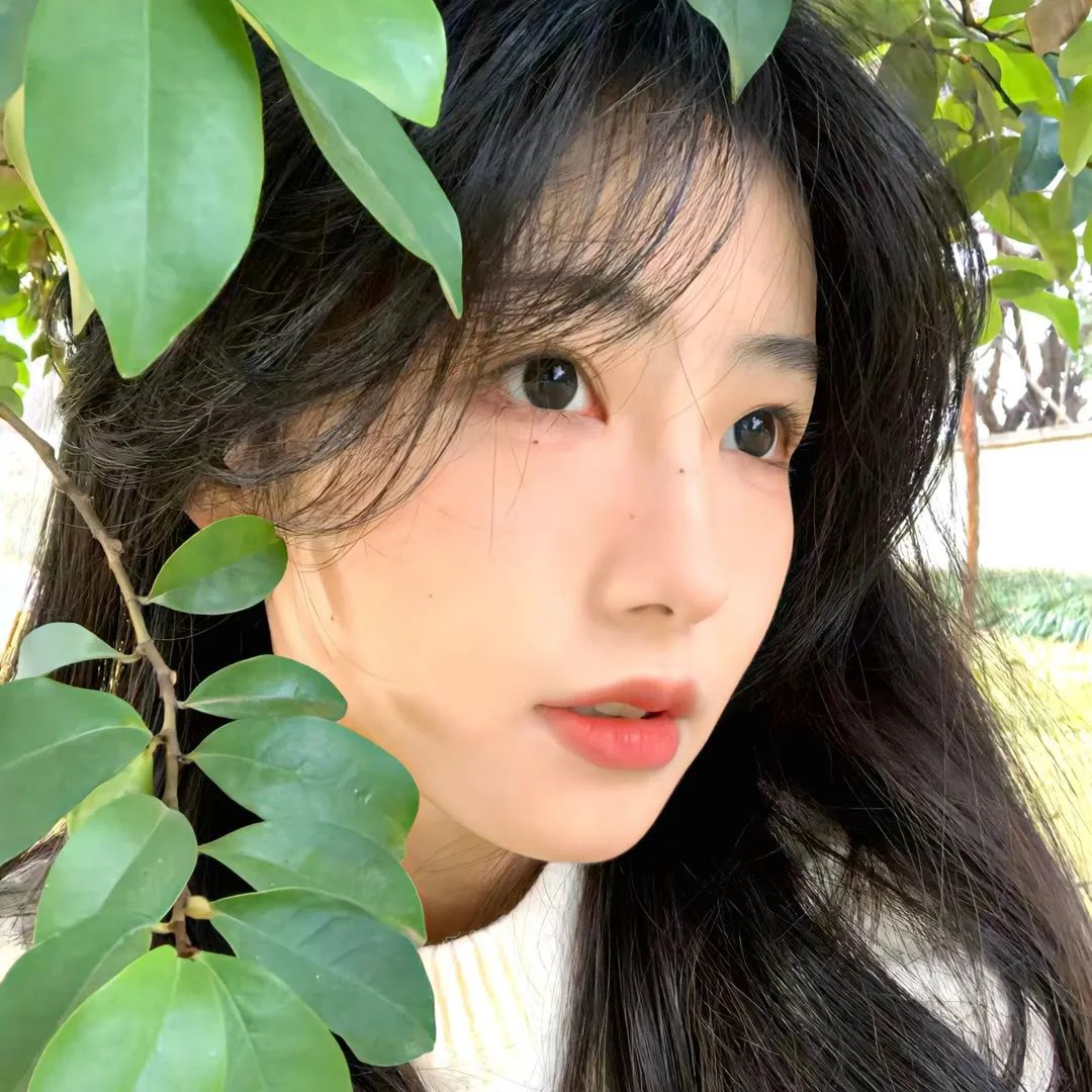 贞伊